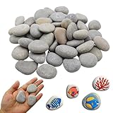 CATELL 25 Stücke Steine zum Bemalen, 3-5 cm Glatte Kieselsteine zum Bemalen Kies Dekosteine Naturstein Flache Steine zum Bemalen für Bunte Malerei Handwerk Kunst Gartendekoration