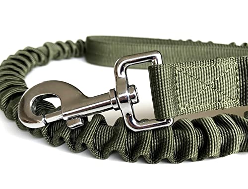 Leisegrün Hundeleine elastisch mit Ruckdämpfer 130–200 cm – Anti Zug Bungee Leine aus Nylon mit Kurzführer, für mittelgroße und große Hunde, Olivgrün