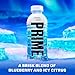 PRIME Hydration BERRY FREEZE, Sports Drinks, Electrolyte Enhanced for Ultimate Hydration, 250mg BCAAs, B Vitamins, Antioxidants, Low Sugar, 16.9 Fl Oz, 12 Pack