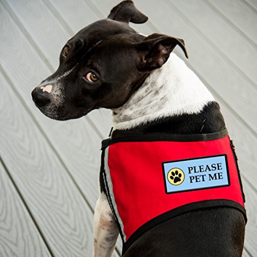 Workingservicedog.com Please Pet Me - Sew On Patch For Service Dog Vest Or Harness #TOP3