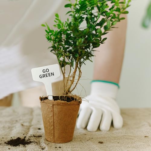 Juego manual para sembrar semillas en jardín miniatura 7