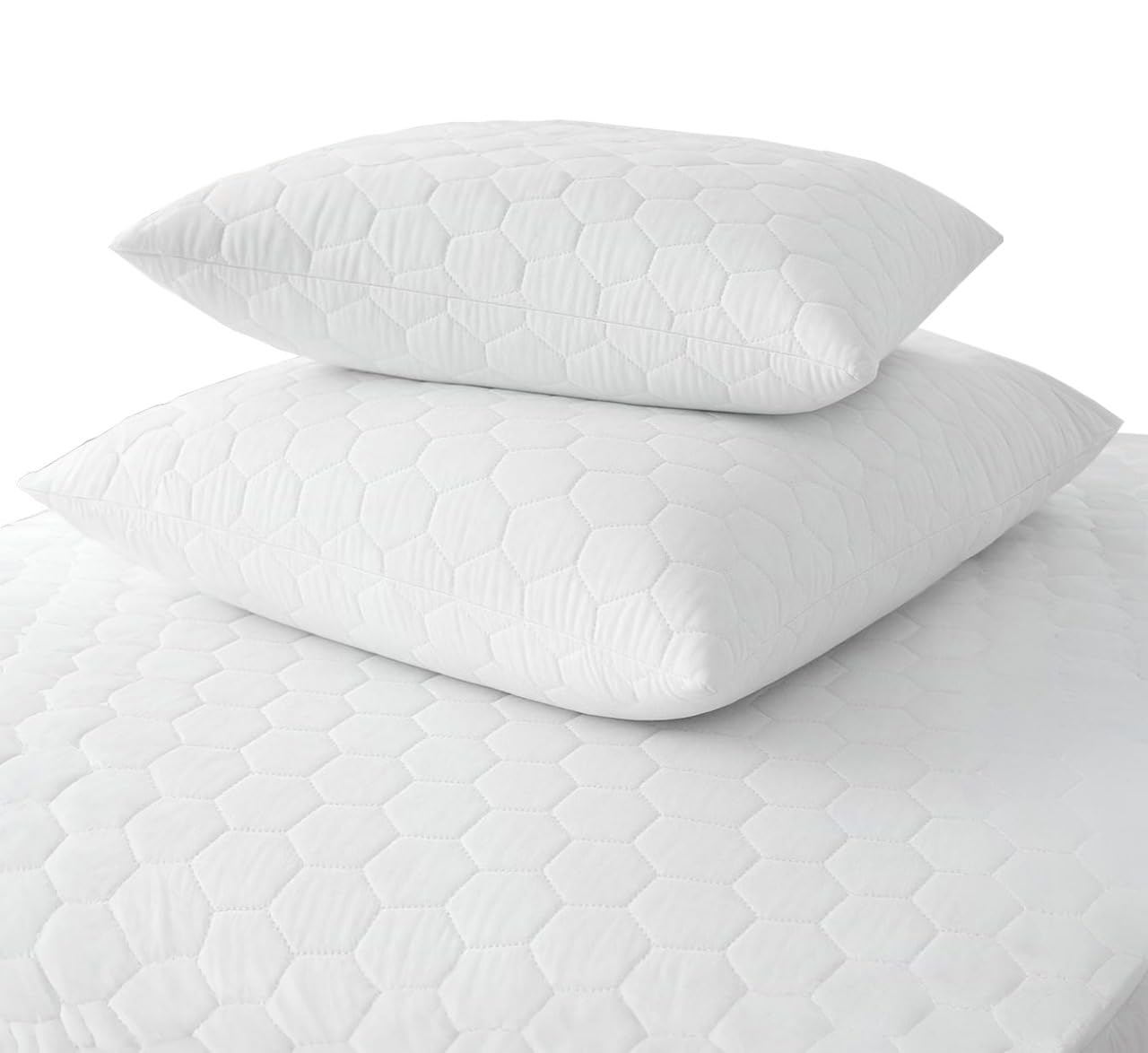 新品　BRIEFING REVERSIBLE CUSHION COVER REVERSIBLE CUSHION COVER（リバーシブルクッションカバー