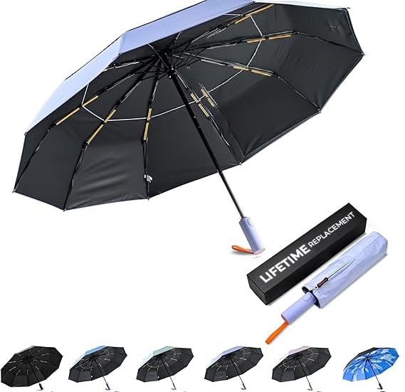DryDay Travel Umbrellas for Rain - Large Windproof Double Canopy Umbrella, 10 Durable Ribs, Strong Frame, Auto Open Close Ergonomic Handle, Compact