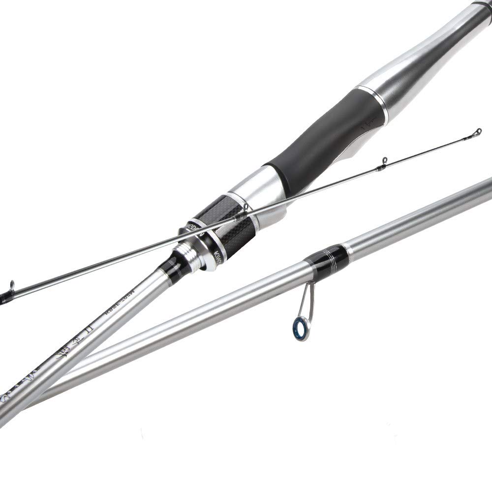 KINGDOMSilver Needle Fishing Rods Ultralight Fast Spinning Rod 2 Section UL L ML M MH Fuji Ring Carbon Casting Travel Rod