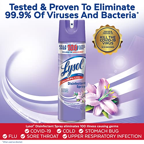 image for Lysol Disinfectant Spray, Sanitizing And Antibacterial Spray, For Disi