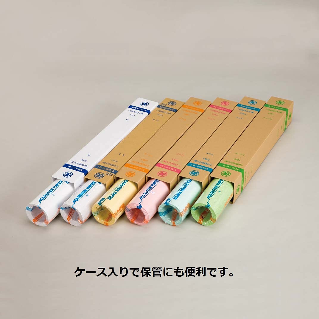 Amazon | エヒメ紙工 ゴークラ マス目入模造紙#70 セクションペーパー