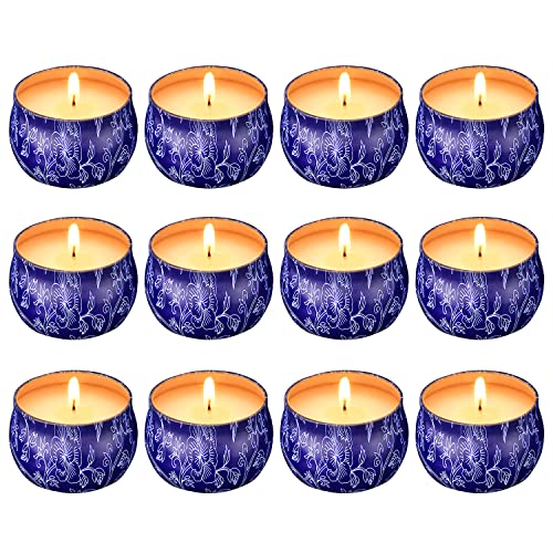 Aku Tonpa 12 velas de citronela de 125 gramos para exteriores e interiores, juego de regalo de velas aromáticas de cera de soja para aromaterapia en lata de viaje portátil Cover