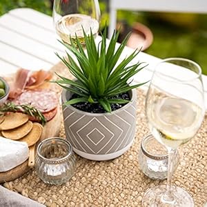 Kurrajong Farmhouse Artificial Plant | 8" Fake Plant for Desk Decor | Artificial Succulent in Pot | Fake Succulent | Faux Plant Indoor | Succulent Plant Artificial | Faux Succulent for Shelf Decor Kurrajong Farmhouse Artificial Plant 8 Fake Plant for Desk Decor Artificial Succulent in Pot Fake Succulent Faux Plant Indoor Succulent Plant Artificial Faux Succulent for Shelf Decor