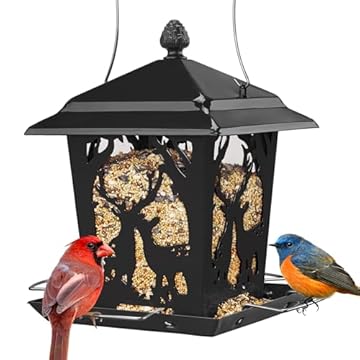 best bird feeders for rusty blackbirds