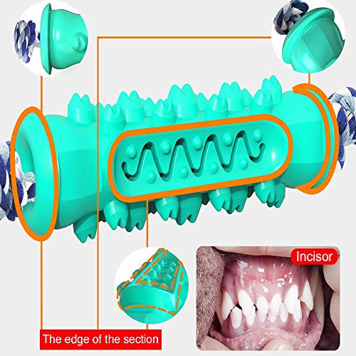 Os cães AnRuiBang com hastes molares de corda são usados para limpar seus dentes e aliviar sua depre