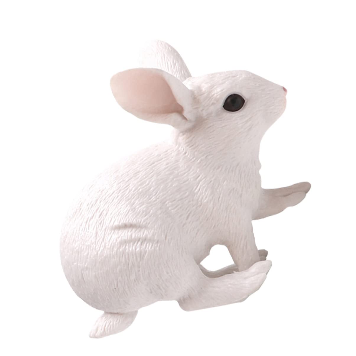 Toyvian 2 Pezzi Piccoli Animali Figure Pvc Figurina Realistica Scultura Figurina Per Arredamento Casa