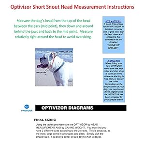 Short Snout Dog Eyes  Face Protector Large 7399 Lbs Head Measurement 8394 Inches  Cucciolini Doodles Short snout dog eyes  face protector large 73 99 lbs head measurement 8 3 9 4 inches   cucciolini doodles