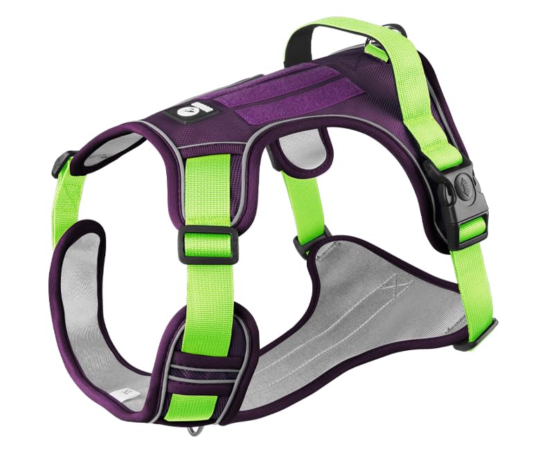 No Pull Dog Harness, Adjustable Reflective Vest with Front & Back Leash Clips, Secure Comfortable Fit for Medium & Large Dogs (Purple/Green) M