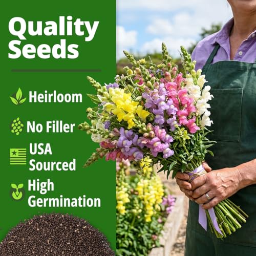 Image of HOME GROWN Snapdragon Northern Lights Seeds, 10,000 Flower Seeds for Planting 2026 Spring, Pastel Garden Blooms of Snap Dragon, Pollinator Friendly Outdoor Cut Flowers (Antirrhinum majus)
