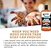 GOOP Orange Liquid Multi-Purpose Waterless Hand Cleaner - 16 oz Flip-Top Bottle