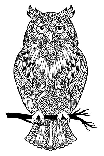 Owl Adult Coloring, Stretched primed canvas to color, Size â€“ 8 x 12 Inches