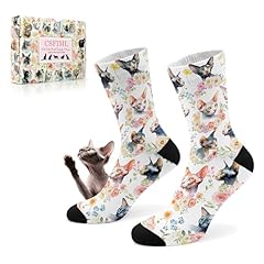 Hairless Naked Sphynx Cat