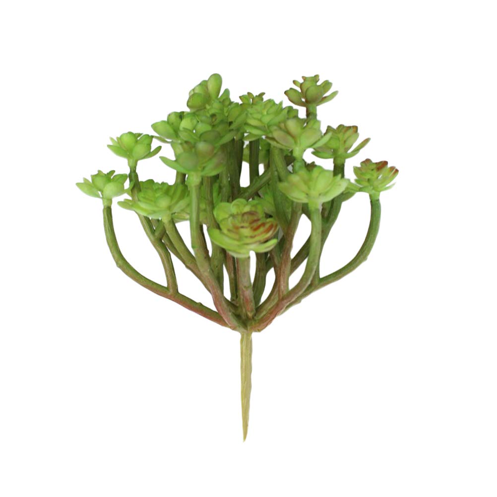Plantes succulentes artificielles sans entretien pour une déco durable