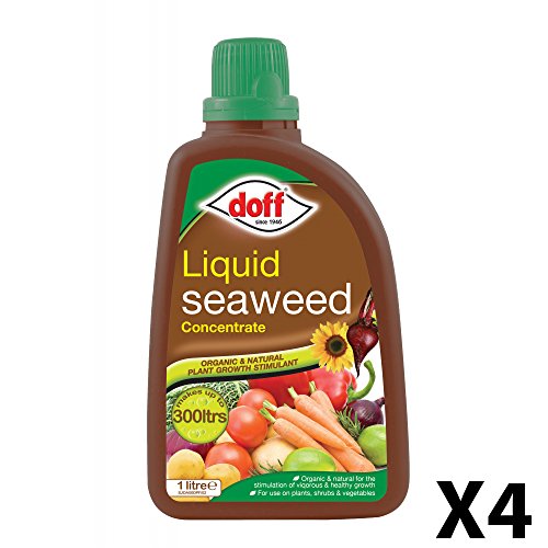 Estimulador del crecimiento multiusos concentrado para plantas, de Doff, hecho a base de algas, 1 litro