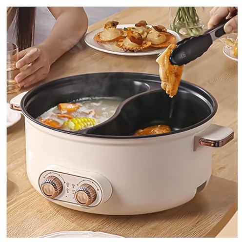 HJXBD888 Hot Pot Electric, Double control switch, 1600 Watts Hot Pot Set Hot Pot Cooker Electric, Suitable for Small Parties (with 2 Leaky Nets),4.5L