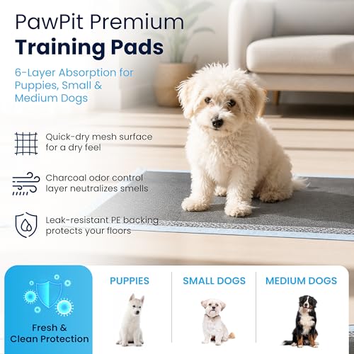 Image of PawPit Puppy Training Pads for Dogs, 6-Layer Rapid Absorption with Activated Charcoal Odor Control, Leak-Resistant PE Backing, Quick-Dry Mesh Surface, 22 x 22 Inch, 50 Count