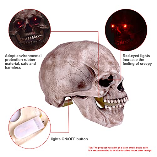 VAZILLIO Maschera per Teschio Maschera di