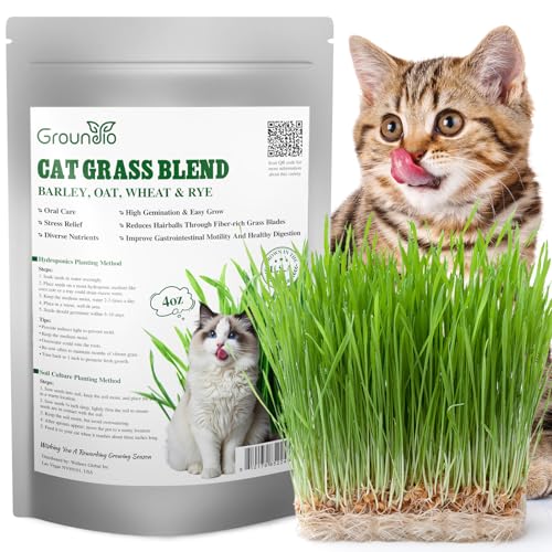Groundio Cat Grass Seeds 4 oz Cat Grass for Indoor Cats Mix Barley Oats Wheat Rye Non-GMO Heirloom Grow Fresh Kitty for Chewing Pet Indoor Garden