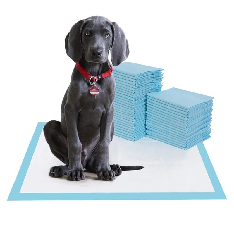 Image of Puppy Pads Large Pee Pads for Dogs Pad Cats Potty Wee Wee Puppy Pads Pet Training Pads 6-Layer Puppy Dog Pee Pads, Large