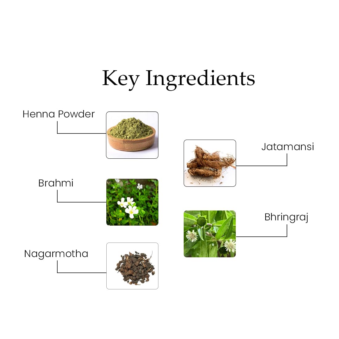 Suparna Trikha Herb Henna | Finest Henna Leaves Blended with 37 Rare Herbs | Natural Colour, Deep Conditioning & Stronger Roots | Helps Control Dandruff & Hair Fall | Chemical-Free - 200gm 2