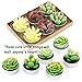 Swpeet 12Pcs Decorative Succulent Cactus Tealight Candles Kit, Cute Smokeless Succulent Plants Perfect for Candles Festival Wedding Props and House-Warming Party (N0.5-Candle)