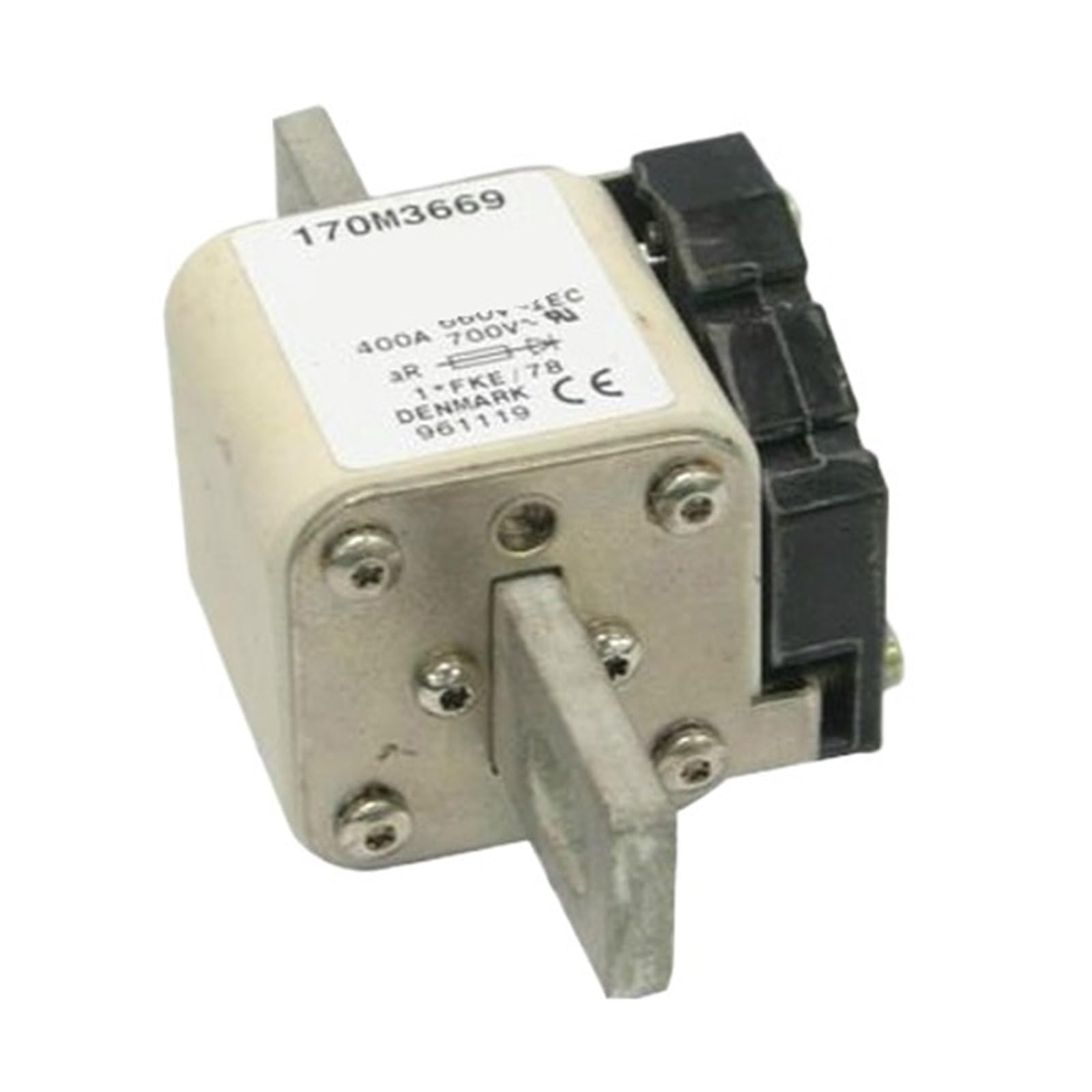 CXDFRSER 170M3669 Fuse