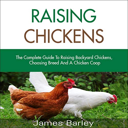 Amazon Com Raising Chickens The Complete Guide To Raising