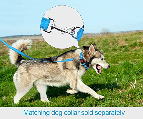 Taglory Nylon Dog Leash 6Ft, Soft Padded Handle Pet Reflective Leashes For Puppy Small Medium Dogs Walking & Training, Sky Blue #TOP3