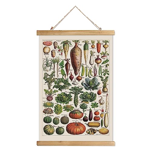 XIAOAIKA Vintage Vegetable Varieties Poster - Illustrated Garden Produce Chart with Wooden Frame - Educational Kitchen Wall Decor Art for Home Chefs and Gardeners 16 x 23 inches