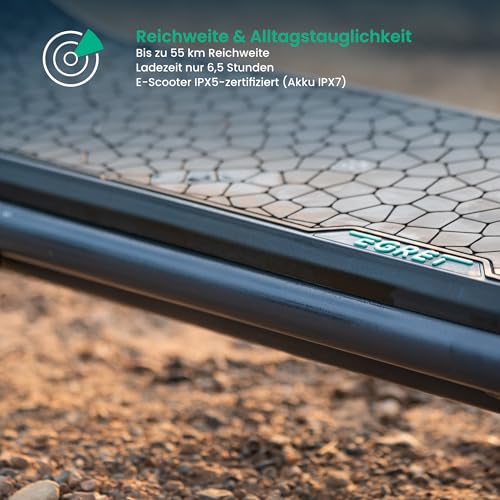 Egret X Serie - Elektroscooter, E-Scooter mit Straßenzulassung, Elektroroller Erwachsene, Eroller 20 kmh (X core +)