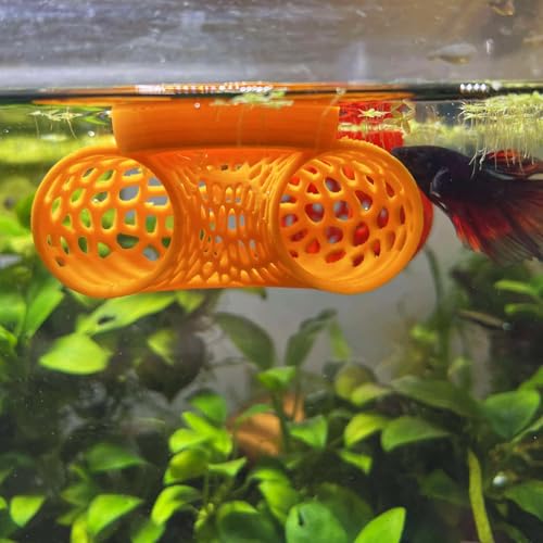 Image of Floating Betta Tunnel for Betta Training. Interactive Training & Enrichment Toy for Betta Fish - Stress Relief & Exercise Accessory, Floating Betta Fish Toys