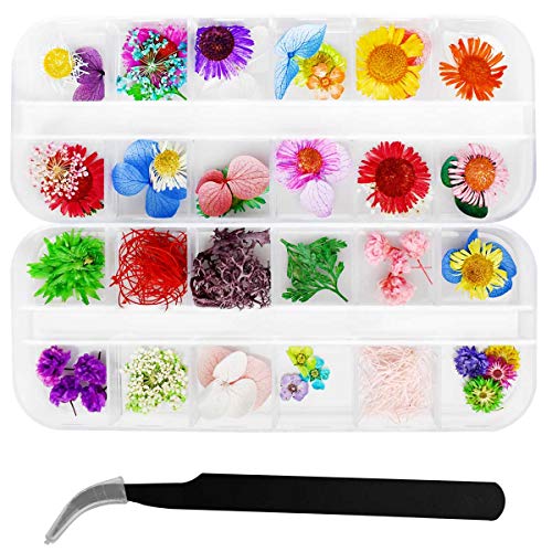 2 Boxes Dried Flowers for Nail Art Real Natural Flower 3D Applique Nail Decoration Stickers for Tips 24 Colors Dry Flowers Manicure Decor Nail Art Supplies Mini Dried Flowers for Nails Nail Diy Decals