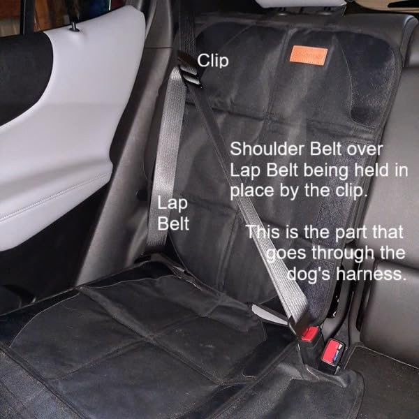 Customer Image