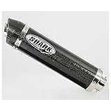  SHARK Auspuff KAWASAKI ZX10-R 10- ZXT00F Street GP rund Carbon EG/BE Slip on 4-1