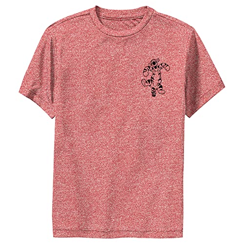 Disney Winnie The Pooh Vintage Line Tigger Boy's Performance Tee