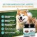 AminAvast Small Dogs & Cat Kidney Support - Promotes Healthy Kidney Support in Cats & Small Dogs - 300mg, 60 Capsule