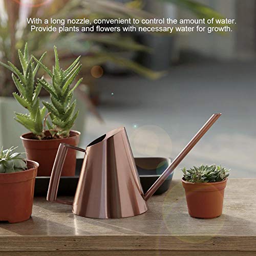 Arrosoir en Acier Inoxydable Bonsai Domestique Mini Plantes D'intérieur Brossées Arrosoir à Bec Long Arrosoir De Style Moderne Or Rose(L)