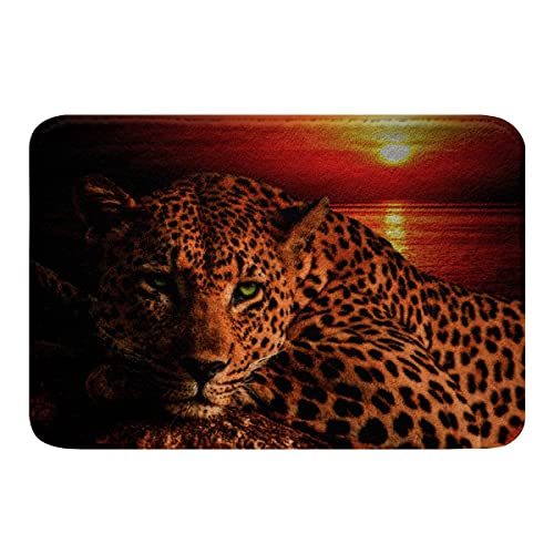 Moon Cheetah Area Rug Leopard Print Bath Rugs For Teens Boys,Animal Hide Wild Animal Skin Spot Rugs Novelty Wildlife Big Cat Kitchen Mat Ocean Beach Area Rug 16"X24" #TOP26