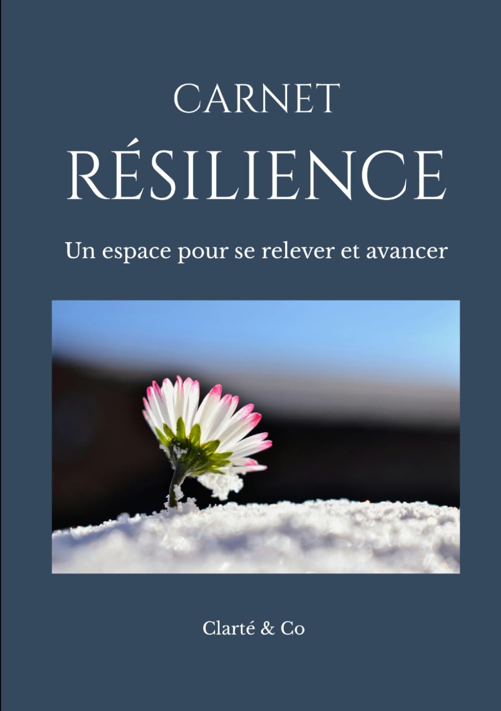 Carnet Résilience: Un espace pour se relever et avancer (Carnets Clarté & Co)