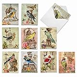 10 Postcard-Style Note Cards with Envelopes (4” x 5 ¼”), Assorted ‘Royal Birds’ Blank Greeting Cards, All-Occasion Stationery Set for Weddings, Birthdays, Thank Yous - NobleWorks #M2343OCB