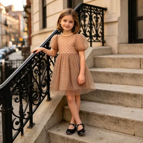 Image of Felix & Flora Toddler Flower Girl Dress Shoes - Baby Girl Ballet Mary Jane Flats for Party School Wedding