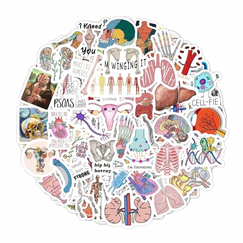 BulbaCraft 100Pcs Anatomy Stickers, Human Anatomy Decals, Body Part Stickers, Gifts for Women & Men