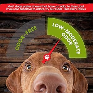 Sancho-Lolas-Bully-Sticks-for-Dogs-6-Inch-Standard-5-count-Moderate-Odor-High-Protein-Grain-Free-Beef-Pizzle-Dog-Chews - Cucciolini Doodles   Sancho-Lolas-Bully-Sticks-for-Dogs-6-Inch-Standard-5-count-Moderate-Odor-High-Protein-Grain-Free-Beef-Pizzle-Dog-Chews