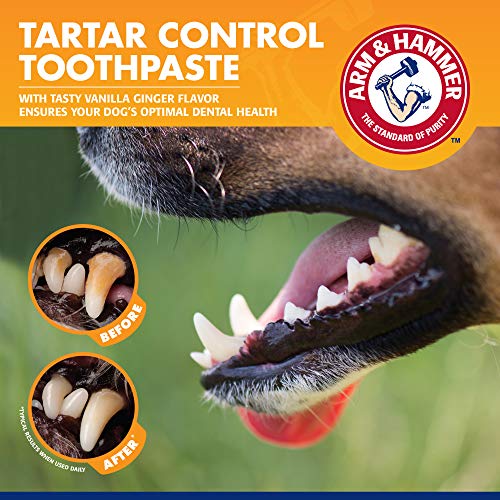 Image of Arm & Hammer for Pets Tartar Control Dental Training Kit for Puppies, Includes Dog Toothbrush, Toothpaste & Fingerbrush for Puppy Dental Health, Vanilla Ginger Flavor, 0.84 Oz