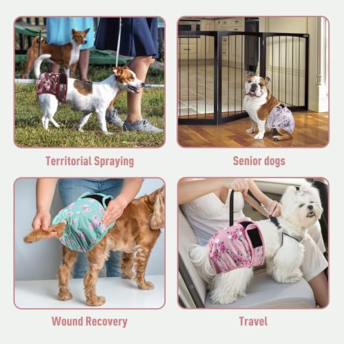 Image of Washable Reusable Female Dog Diapers(5 Pack) Small Medium Large Doggie Puppy & Doggy Dog Diaper, Period Panties in Heat Medium Butterflies and Dragonflies